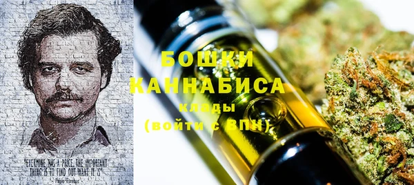 PSILOCYBIN Нягань