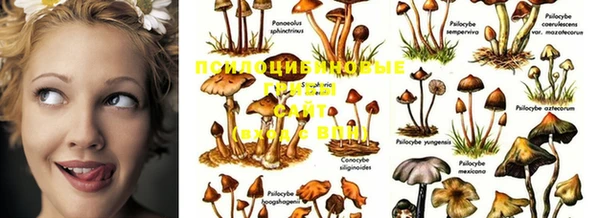 марки nbome Абинск