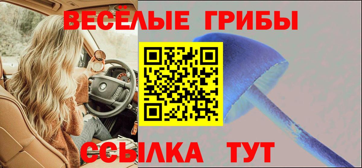 Галлюциногенные грибы ЛСД Североморск