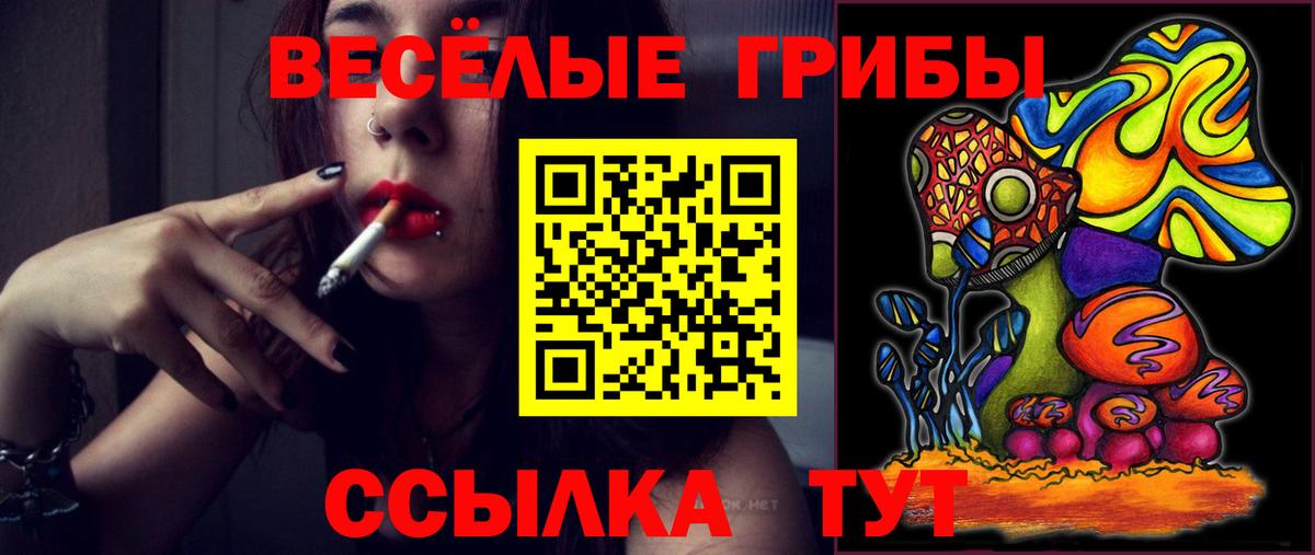 Галлюциногенные грибы MAGIC MUSHROOMS  где найти наркотики  Североморск  Вход с VPN  Галлюциногенные грибы MAGIC MUSHROOMS 